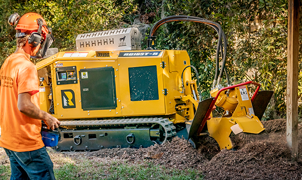 RG165T-R Stump Cutter